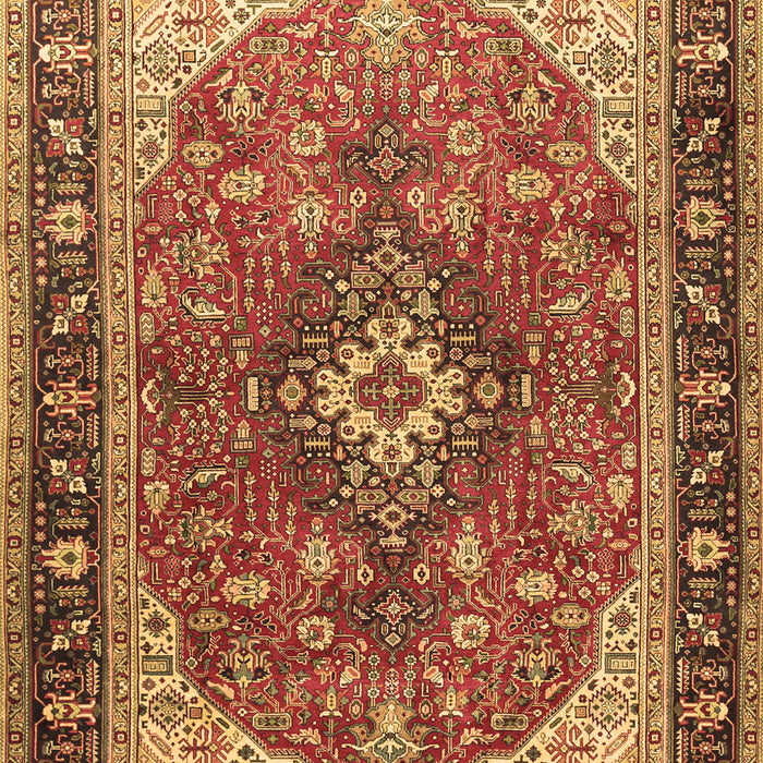 Medallion Brown Traditional Rug, tr1170brn