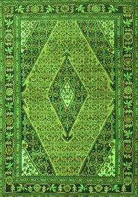 Medallion Green Traditional Rug, tr1172grn