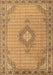 Medallion Brown Traditional Rug, tr1173brn