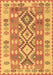 Machine Washable Southwestern Brown Country Rug, wshtr1175brn