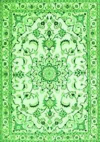 Persian Green Traditional Rug, tr1180grn