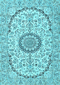 Medallion Light Blue Traditional Rug, tr1183lblu