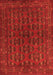 Persian Orange Traditional Rug, tr1188org