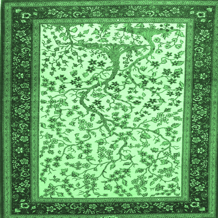 Square Machine Washable Animal Emerald Green Traditional Area Rugs, wshtr118emgrn