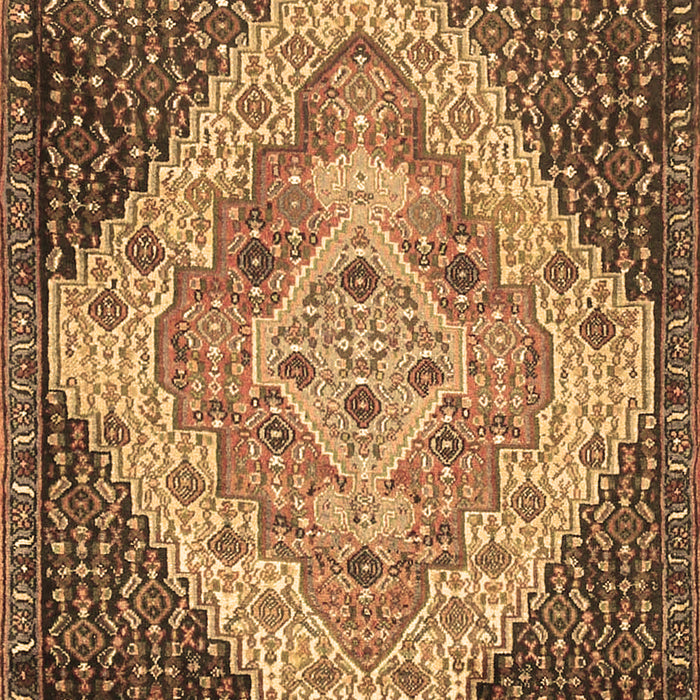 Machine Washable Medallion Brown Traditional Rug, wshtr1191brn