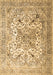 Machine Washable Medallion Brown Traditional Rug, wshtr1192brn