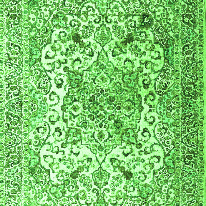 Medallion Green Traditional Rug, tr1192grn