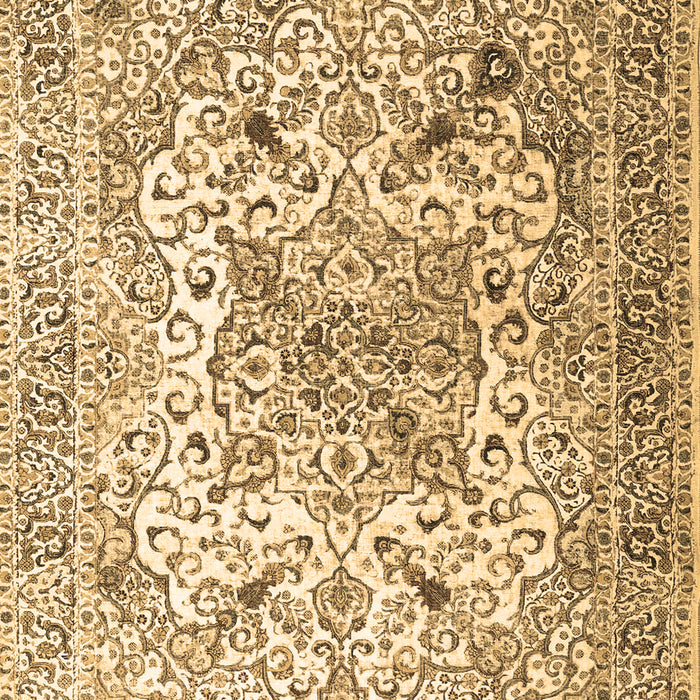 Medallion Brown Traditional Rug, tr1192brn