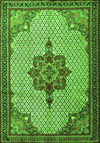 Persian Green Traditional Rug, tr1193grn