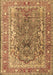 Machine Washable Persian Brown Traditional Rug, wshtr1195brn