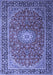 Medallion Blue Traditional Rug, tr1196blu