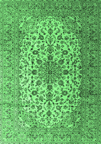 Medallion Emerald Green Traditional Rug, tr1198emgrn