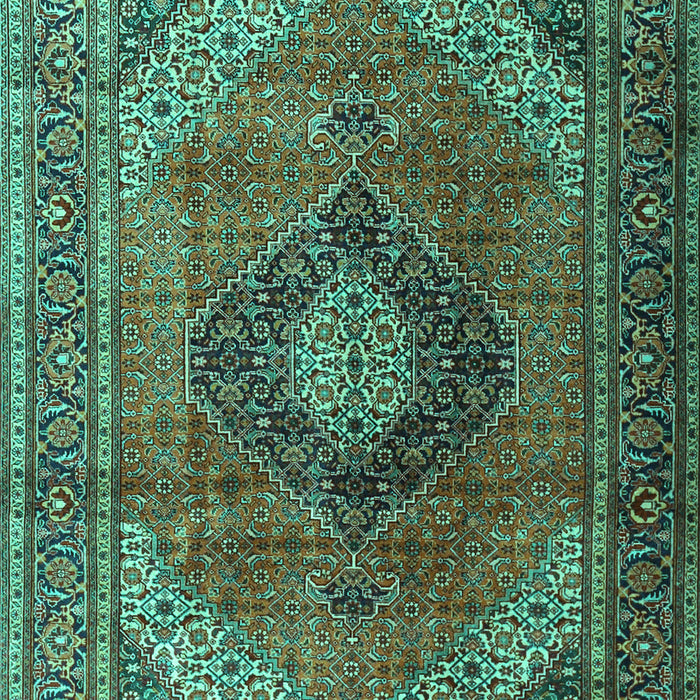 Medallion Turquoise Traditional Rug, tr1199turq