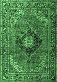 Medallion Emerald Green Traditional Rug, tr1199emgrn