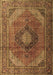 Medallion Brown Traditional Rug, tr1199brn