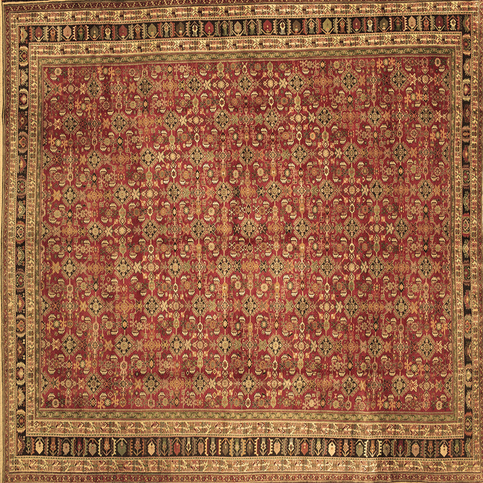 Square Persian Brown Traditional Rug, tr11brn