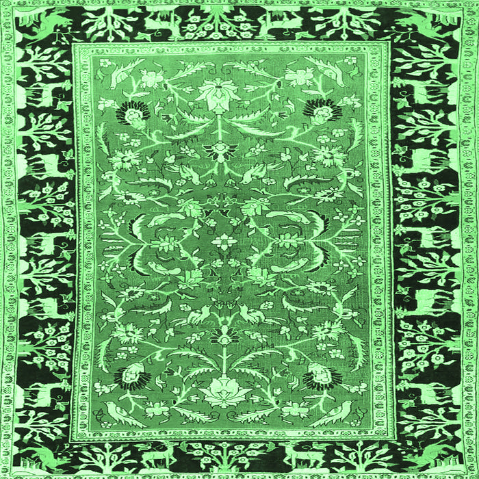 Square Machine Washable Animal Emerald Green Traditional Area Rugs, wshtr1204emgrn