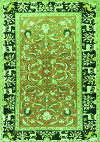 Animal Green Traditional Rug, tr1204grn