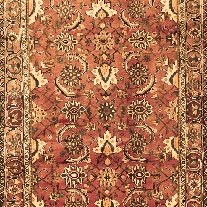 Persian Brown Traditional Rug, tr1206brn