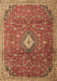 Machine Washable Persian Brown Traditional Rug, wshtr1207brn