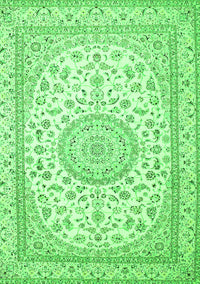 Medallion Green Traditional Rug, tr120grn