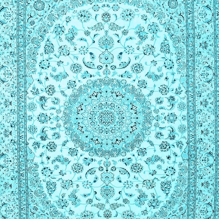 Medallion Light Blue Traditional Rug, tr120lblu