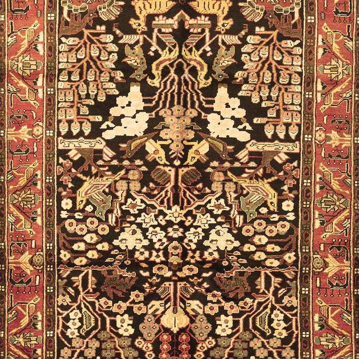 Machine Washable Persian Brown Traditional Rug, wshtr1214brn