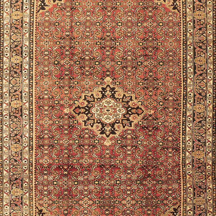 Persian Brown Traditional Rug, tr1218brn