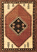 Machine Washable Persian Brown Traditional Rug, wshtr1221brn