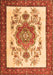 Persian Orange Traditional Rug, tr1222org