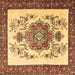 Square Persian Brown Traditional Rug, tr1222brn