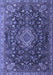 Medallion Blue Traditional Rug, tr1223blu