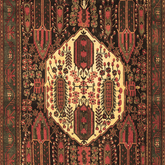 Medallion Brown Traditional Rug, tr1226brn