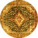 Round Medallion Yellow Traditional Rug, tr1229yw