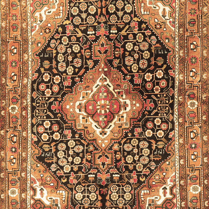 Medallion Brown Traditional Rug, tr1229brn