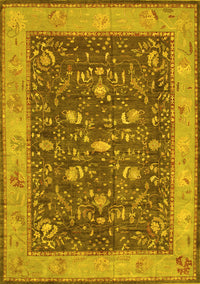 Persian Yellow Traditional Rug, tr122yw