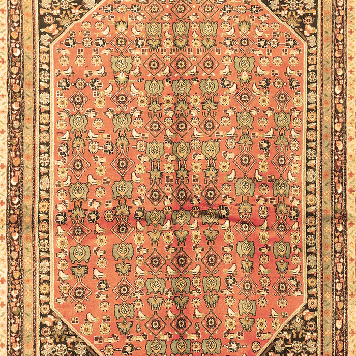 Machine Washable Persian Brown Traditional Rug, wshtr1230brn