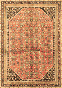 Persian Brown Traditional Rug, tr1230brn