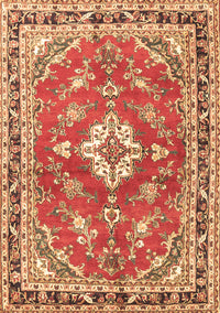 Medallion Brown Traditional Rug, tr1231brn