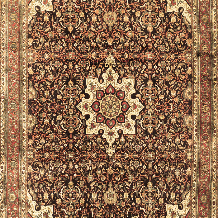 Medallion Brown Traditional Rug, tr1232brn