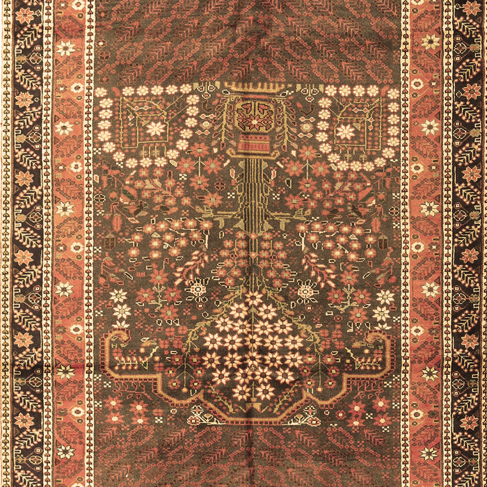 Machine Washable Persian Brown Traditional Rug, wshtr1233brn