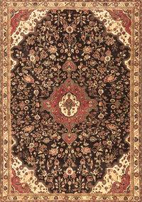 Medallion Brown Traditional Rug, tr1238brn