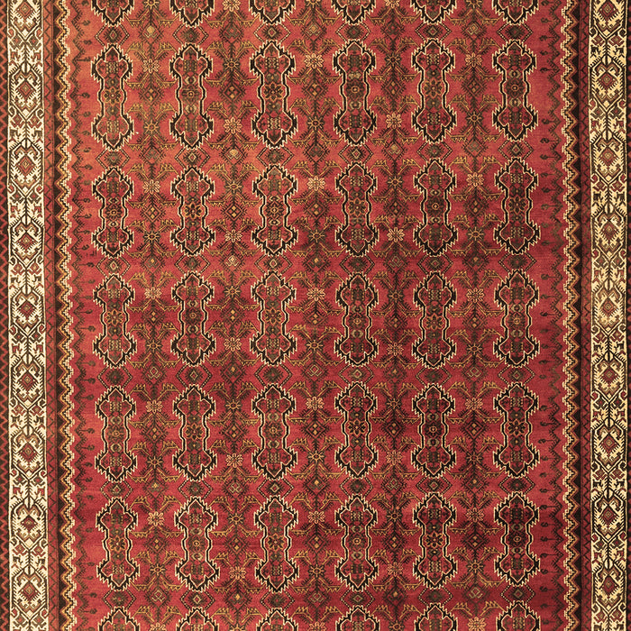 Machine Washable Persian Brown Traditional Rug, wshtr1240brn