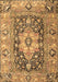 Animal Brown Traditional Rug, tr1241brn