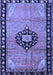 Medallion Blue Traditional Rug, tr1244blu