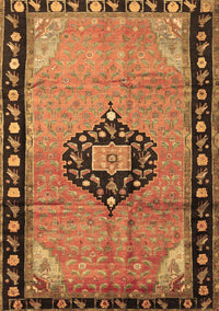 Medallion Brown Traditional Rug, tr1244brn