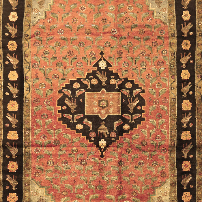 Medallion Brown Traditional Rug, tr1244brn