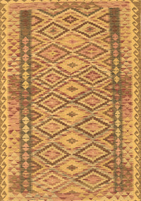 Persian Brown Traditional Rug, tr1250brn