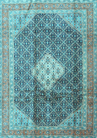 Medallion Light Blue Traditional Rug, tr1255lblu