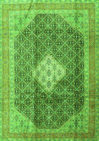 Medallion Green Traditional Rug, tr1255grn